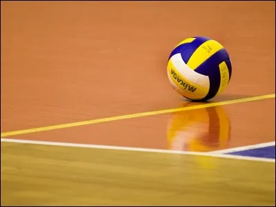 Un pays d&eacute;j&agrave; champion du monde cette ann&eacute;e dans un sport de plage a &eacute;galement remport&eacute; la m&eacute;daille d'or europ&eacute;enne en volley-ball masculin, le 29 septembre. Quel est ce pays ?