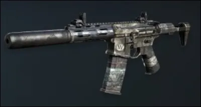 Quel est le nom de cette arme de Ghost ?