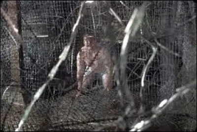 De quel "Saw" provient ce piège ?