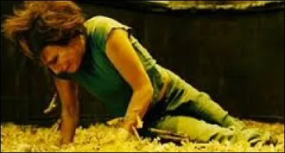 De quel "Saw" provient ce piège ?