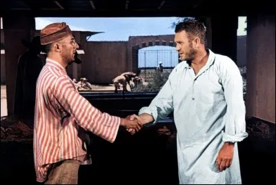 1973 - De quel film est extraite cette photo ?