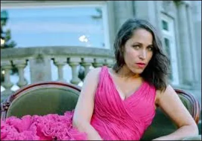 Qu'est-ce que Pink Martini ne veut pas faire ?