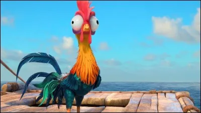 Quel est le prénom de ce coq, plutôt étourdi, qui accompagne Vaiana dans son périple ?
