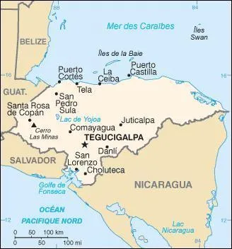 Le dessin ci-aprs reprsente :