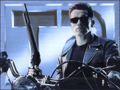 Qui a chanté "You Could Be Mine" qu'on peut entendre dans "Terminator 2" ?