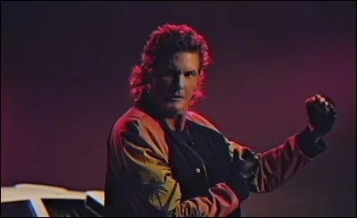 Dans quel film on peut entendre "True Survivor" du grand David Hasselhoff (encore) en 2015 ?