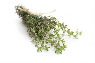 Quelle est la plante aromatique ayant les feuilles comme celles ci-dessus ?