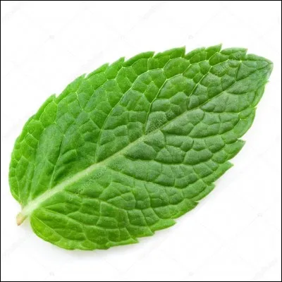 Quelle est la plante aromatique ayant les feuilles comme celle ci-dessus ?
