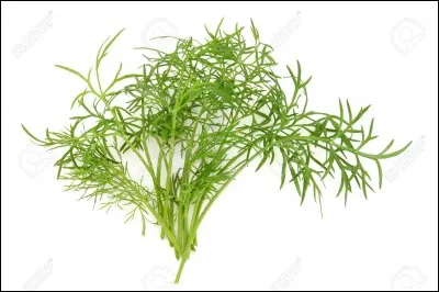 Quelle est la plante aromatique ayant les feuilles comme celles ci-dessus ?
