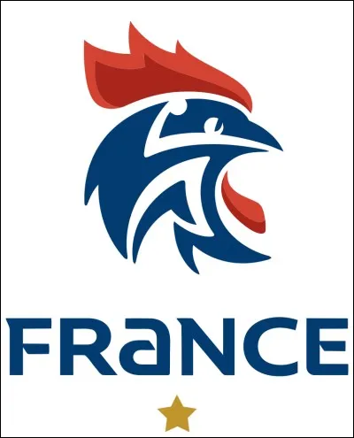 Qui est le footballeur ayant marqué le plus de buts en équipe de France ?