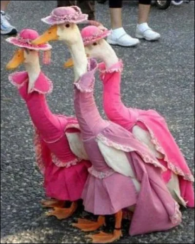 Modeuse, c'est être...