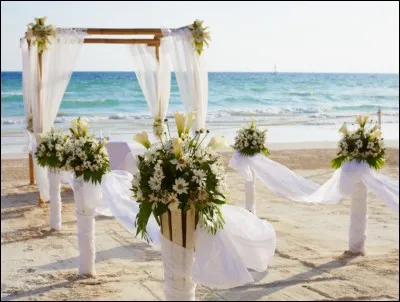 Qui se marie dans la saison 8 ?