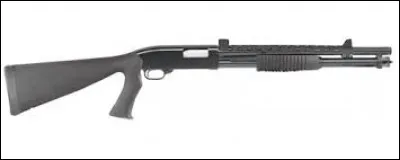 Quel est le nom de cette arme ?