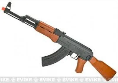 Quel est le nom de cette arme ?