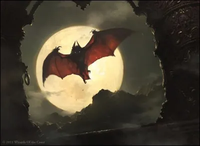 L'anglais voit cet oiseau de nuit, et pense "It's a bat !", mais comment le dire à son ami espagnol ?