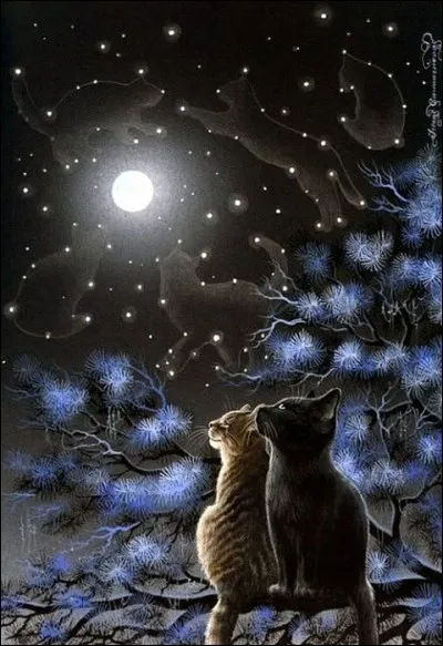 Cet anglais voudrait bien parler espagnol pour dire comment sont tous les chats la nuit, traduisez pour lui : "At night, all the cats are grey" :