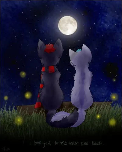 Regardez bien comment est la lune dans le ciel ! L'anglais pense "It's a full moon", mais il ne sait pas traduire :