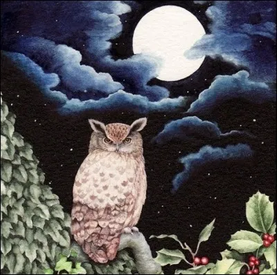 On voit de drôles d'oiseaux la nuit ! Cet anglais voudrait traduire "The owl" :