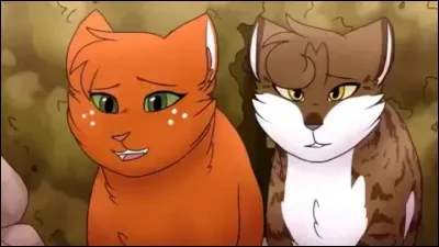 Deux sœurs ... La maligne Poil d'Écureuil et la douce Feuille de Lune. Laquelle est jalouse de l'autre ?