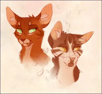 Mais alors pourquoi ?s