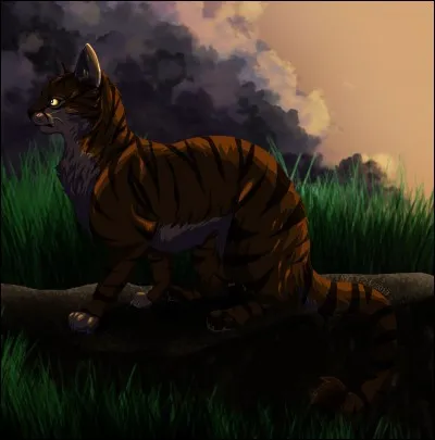 Quand va-t-elle revenir de son évasion avec Plume de Jais ?