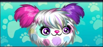 Que sont les PetPets ?