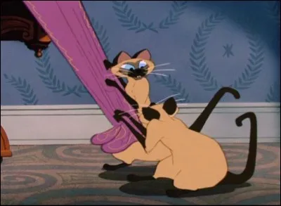 Dans "La Belle et le Clochard", qui est la propriétaire des deux siamois Si et Am ?