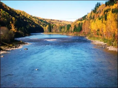 Dans quelle discipline la sportive française Automne Pavia s'illustre-t-elle ?