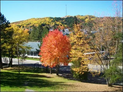 Dans quel pays, réputé pour ses couleurs d'automne grâce notamment à ses érables rougeoyants, les photos illustrant ce quiz ont-elles été prises ?