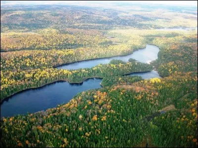 Laquelle de ces propositions désigne un titre et un album du chanteur Tété ?