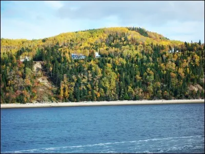 Quelle est l'orthographe correcte de ce pigment vert que les feuilles perdent en automne, les rendant jaunes et brunes avant de tomber ?
