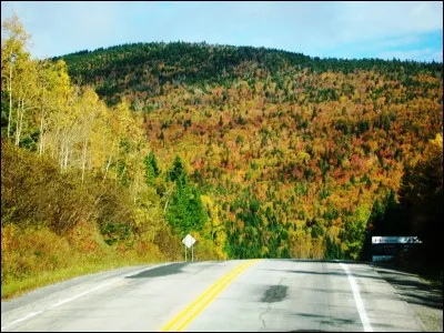 Voici les quatre saisons en néerlandais. Cochez la proposition correspondant à l'automne ?
