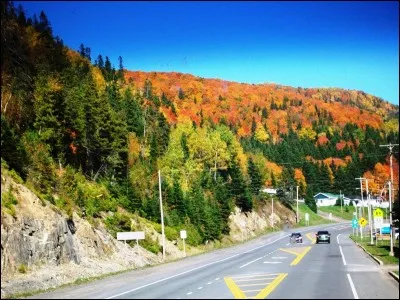 Toutes les régions du monde ne connaissent pas l'automne. Parmi ces types de climat, dans lequel ne trouve-t-on pas d'automne ?