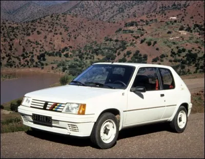 Quelle est la puissance maxi de la 205 rallye ?