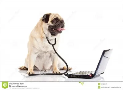 Quoi de neuf docteur ?