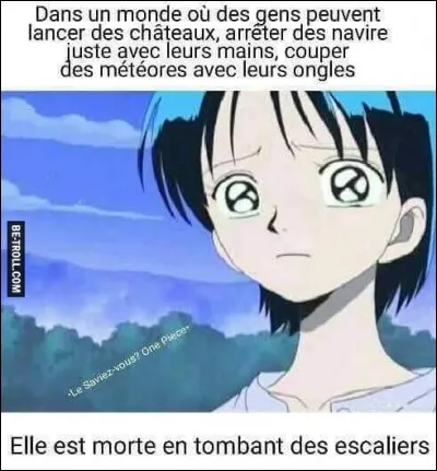 Un peu de "One Piece". Comment s'appelle ce personnage ?