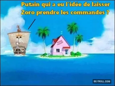 Quelle idée ! De quel manga vient Zoro ?