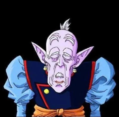 Comment l'ancien Kaïô Shin a-t-il été libéré ?