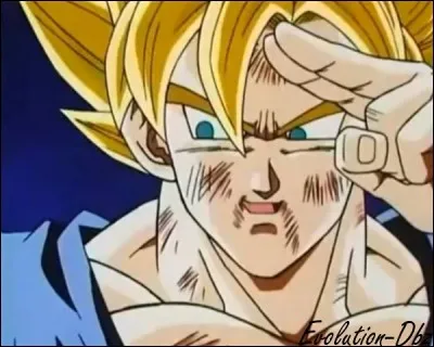 Quel est le vu le plus cher réalisé par Son Goku avant d'en finir avec Kid Buu ?