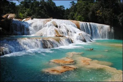 O&ugrave; se trouvent les chutes d'Agua Azul ?