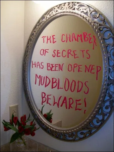 Plus tard, vas-tu conseiller à tes enfants de regarder Harry Potter ?