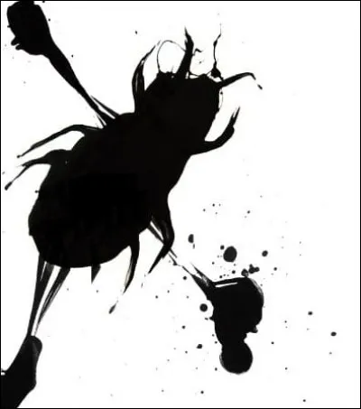 "Un matin, au sortir d'un rêve agité, Grégoire Samsa s'éveilla transformé dans son lit en une véritable vermine." est extrait de :