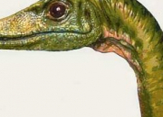 Quiz La biologie des dinosaures