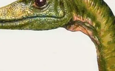 Quiz Dinosaures