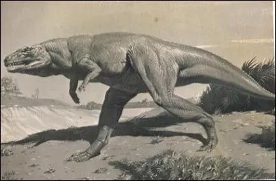 Quels dinosaures &eacute;taient les plus intelligents ?