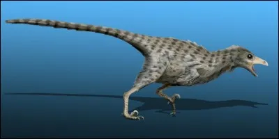 Certains types d'oiseaux sont des dinosaures.