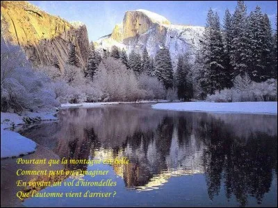 Qui chantait : "Comment peut-on s'imaginer, en voyant un vol d'hirondelles, que l'automne vient d'arriver" ?