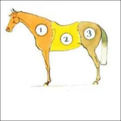 Quelles sont ces 3 parties du cheval ?
