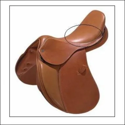 Comment s'appelle cette partie de la selle ?