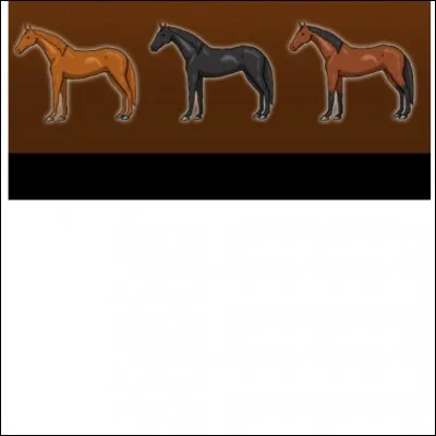 Quelles sont ces 3 robes de cheval ?